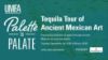 A digital invitation that reads: Palette to Palate: Tequila Tour of Ancient Mexican Art